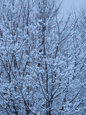 where is the sky?