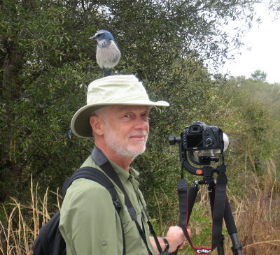 Searching for the elusive Florida Scrub-Jay