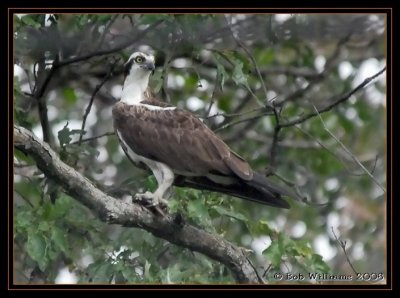 DSC_0769.JPG