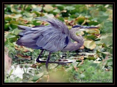 PC-DSC_0736.JPG7.jpg