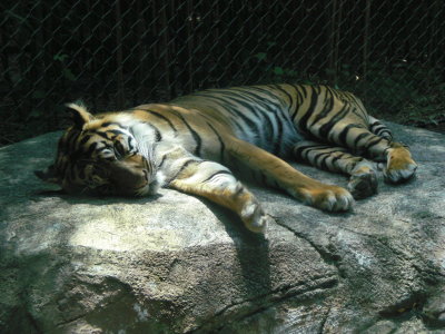 Louisville Zoo 2012