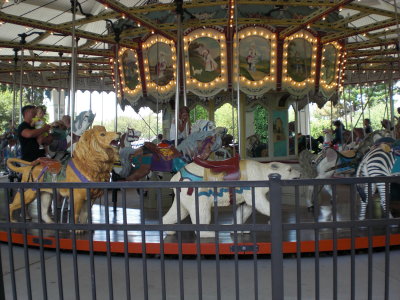 256.JPG