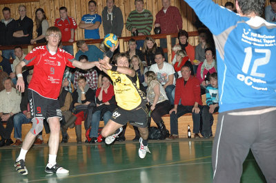 DSC_36868_Pb.jpg