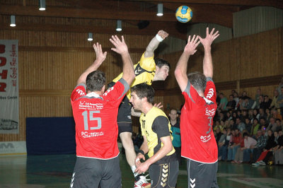 DSC_36896_Pb.jpg