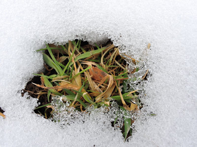 Der Winter kann gehen