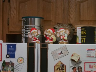 TOP OF FRIDGE