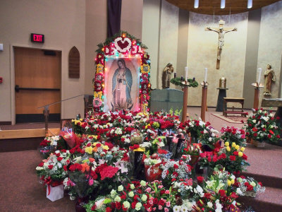 OUR LADY OF GUADALUPE