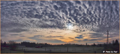 A PACIFIC NW WINTER MORNING