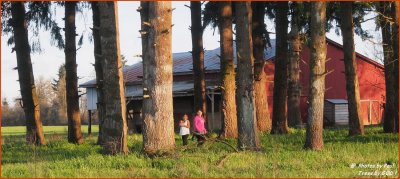 YOUNG KIDS, OLD TREES, AN OLD BARN . . . AND . . 