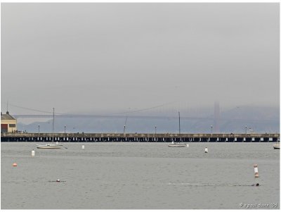 THE NOT SO GOLDEN GATE BRIDGE.