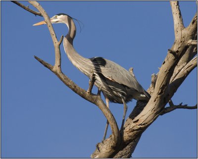 CRW_3936.jpg