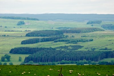 Hadrians Wall  070.jpg