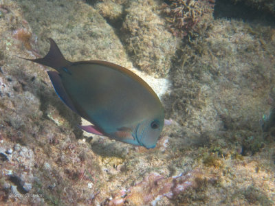IMG_0682.jpg