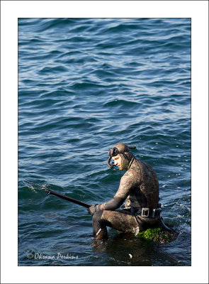 Spear-fisherman-1.jpg