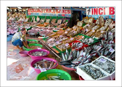 Fish-market-1.jpg