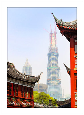 Yuyan-and-Tower-1.jpg