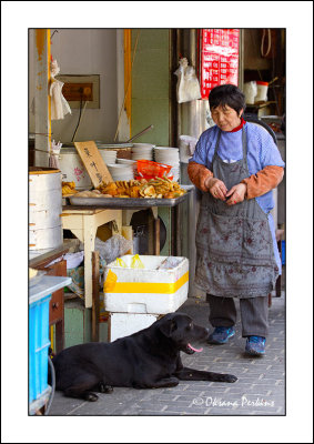 Street-stall-dog.jpg
