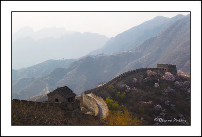 Wall-2.jpg