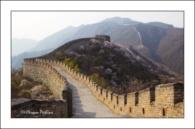 Wall-3.jpg