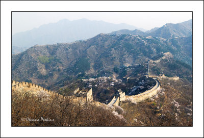 Wall-5.jpg