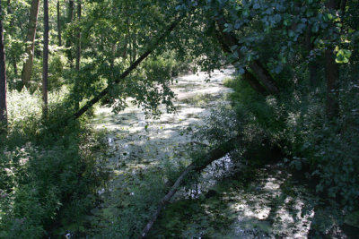 PL-BIELOWESA015.jpg