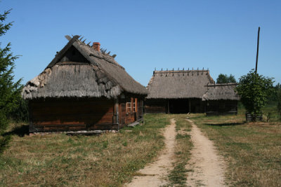 PL-BIELOWESA018.jpg