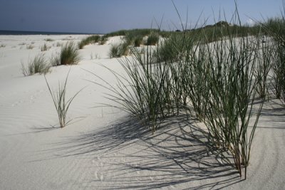 pl-duna SLOWINSKI001.jpg
