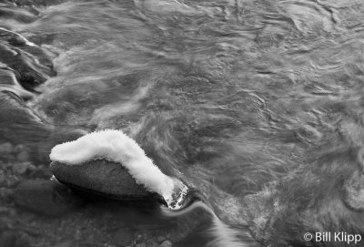 Chilkoot River  2