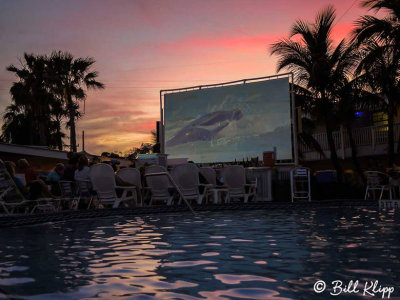 Dive In Movie, Ibis Bay Resort  1