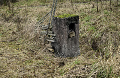 Naturen tar tillbaka Jrvaftet och disponerar om  militrens installationer fr fgelkvitter istllet fr kulsprutesmatter