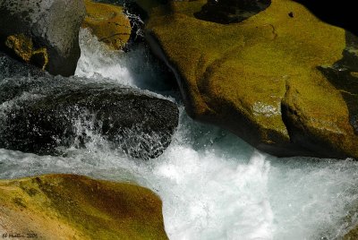 g2/57/624457/3/65968146.yWHKtFnF.jpg