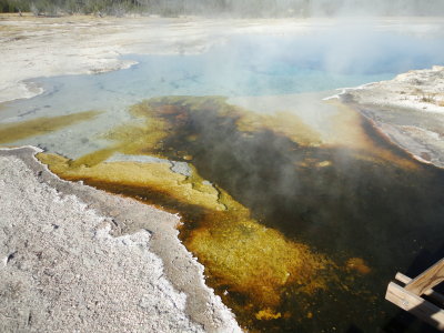 Yellowstone National Park