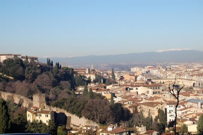 Florence from above