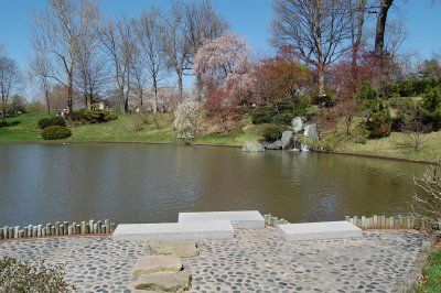 Japanese garden in spring