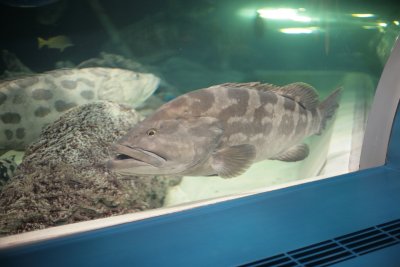 IMG_3664.JPG