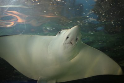 IMG_3672.JPG