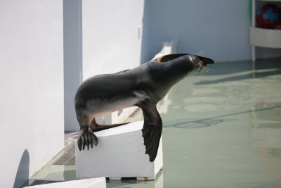 IMG_3854.JPG