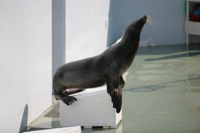 IMG_3860.JPG
