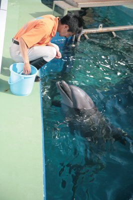 IMG_3920.JPG