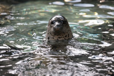 IMG_3940.JPG