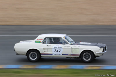ta25.jpg