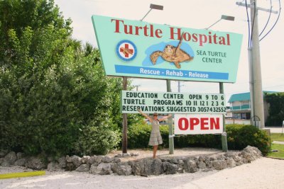Turtle Hospital