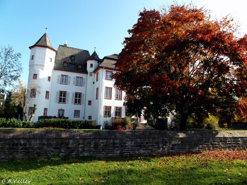 Schloss Martinsburg