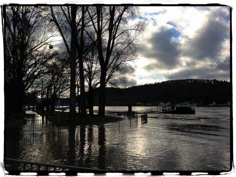 Flooding at the Rhine River