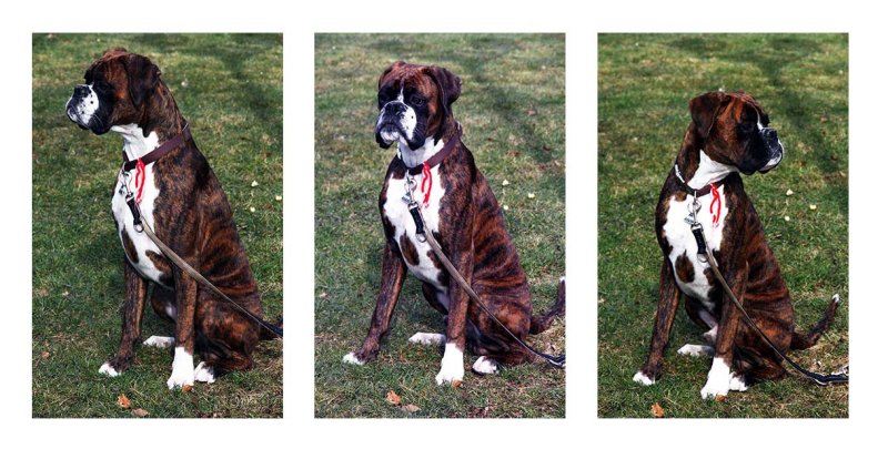 Nine months old