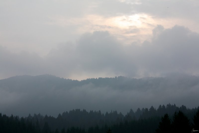 Foresta del Cansiglio