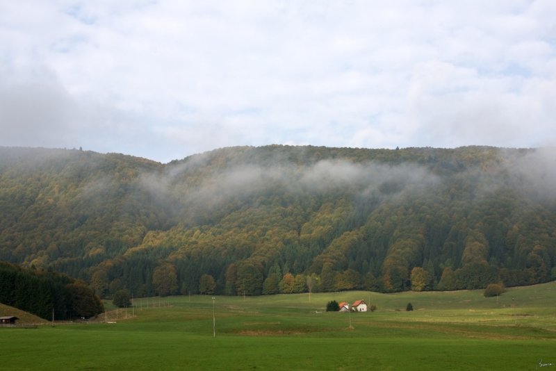 Foresta del Cansiglio