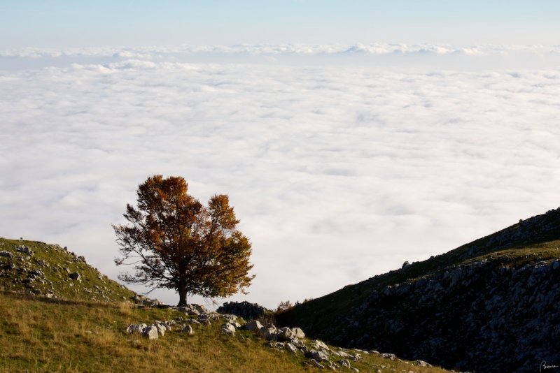 Monte Pizzoc