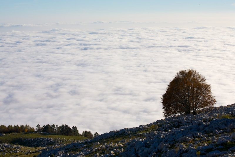 Monte Pizzoc