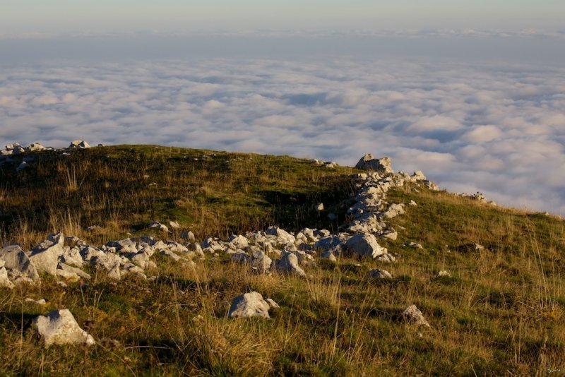 Monte Pizzoc